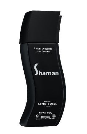 Shaman 100 мл. Туалетная вода мужская шаман